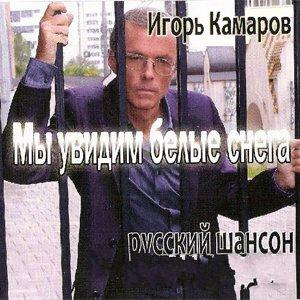 Игорь Камаров - Мы увидим белые снега