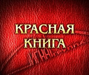 VA - Красная книга