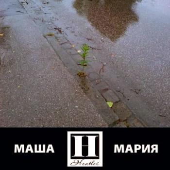 VA - Маша. Мария