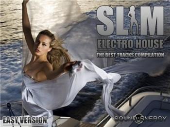 VA - Slim Electro House P4