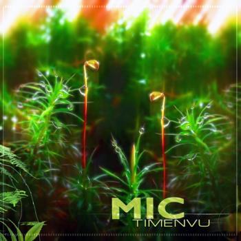 MIC - Timenvu