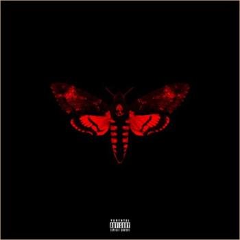 Lil Wayne - I Am Not A Human Being 2