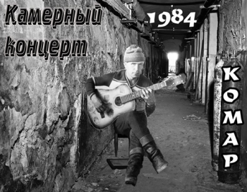 Камерный концерт Комара - Дворовая музыка Воронежа