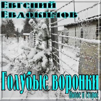 Евгений Евдокимов - Голубые воронки