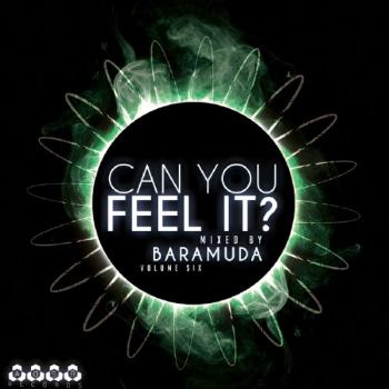 VA - Can You Feel It? Vol 6