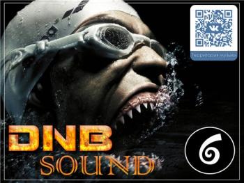 VA - DNB Sound vol.6