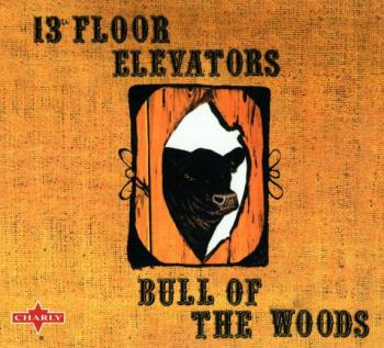 13th Floor Elevators - Bull Of The Woods