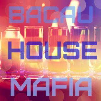 VA - BacauHouseMafia vol.6