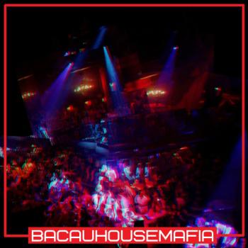 VA - BacauHouseMafia vol.11