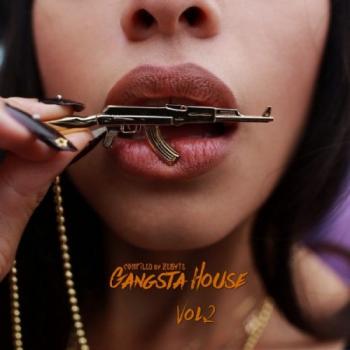 VA - Gangsta House Vol.2