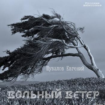 Евгений Шувалов - Вольный ветер