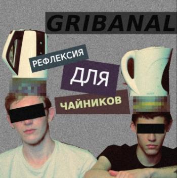 Gribanal - Рефлексия для чайников