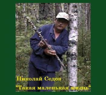 Николай Седов - Такая маленькая жизнь