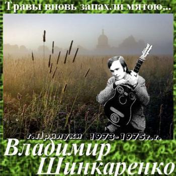 Владимир Шинкаренко - Травы вновь запахли мятою