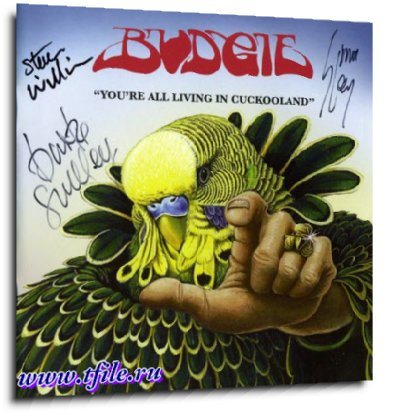Budgie - Дискография 