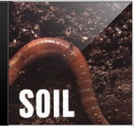 Soil - Дискография 