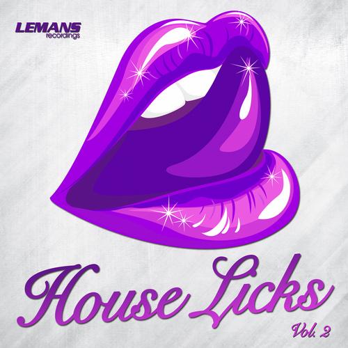 VA - House Licks Vol 1-3 