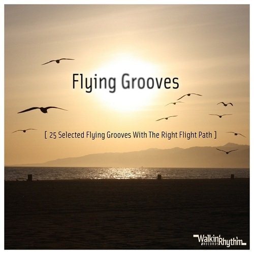 VA - Flying Grooves, Vol. 1-2 