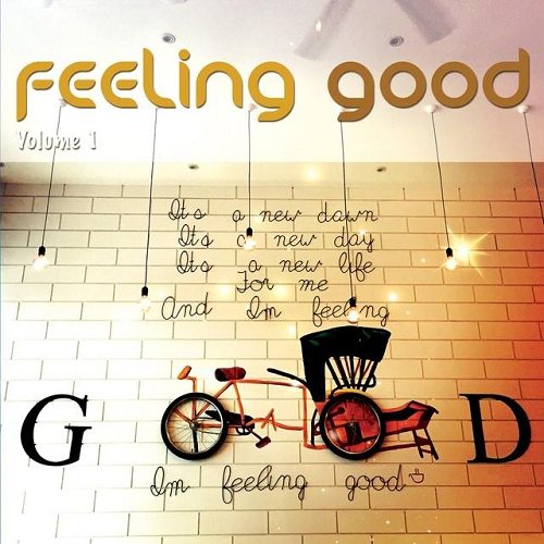 VA - Feeling Good Vol 1-2 