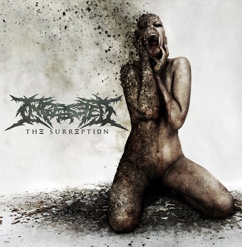 Ingested - Дискография 