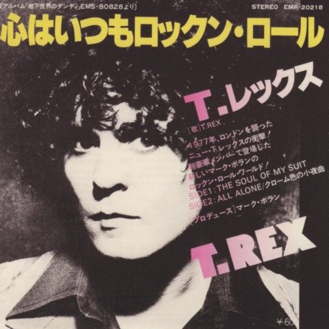 T-REX Discography 