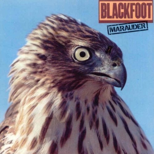 Blackfoot Discography 