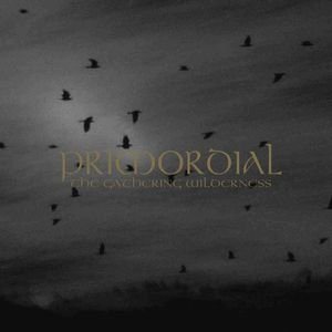 Primordial - Дискография 