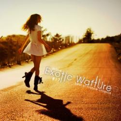 VA - Exotic Wafture #17