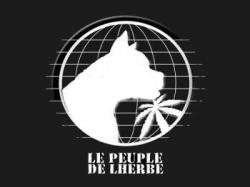 Le Peuple - de L Herbe - Дискография