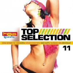 VA - Topselection 11