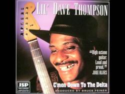 Lil Dave Thompson - C mon Down To The Delta