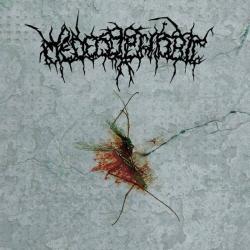 Medecophobic - Pandemic Of Existence