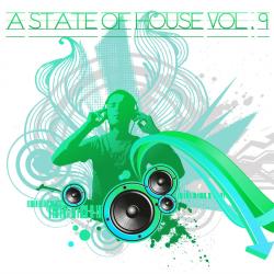 VA - A State Of House Volume 6