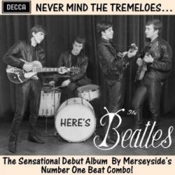 The Beatles - Nevermind The Tremeloes ... Here s The Beatles