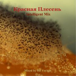 DJ Voyage - ''Красная Плесень - Intelligent Mix''