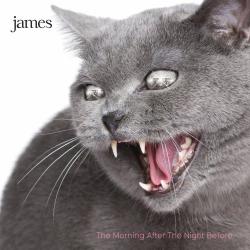 James - The Morning After The Night Before