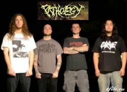 Pathology - Дискография