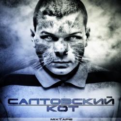 Эфиро - Салтовский Кот