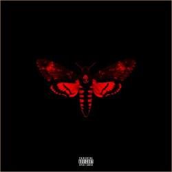 Lil Wayne - I Am Not A Human Being 2