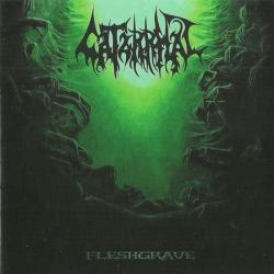 Catarrhal - Fleshgrave