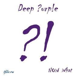 Deep Purple - Now What?!