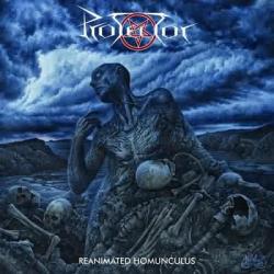 Protector - Reanimated Homunculus