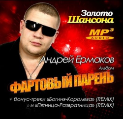 Андрей Ермаков - Фартовый парень