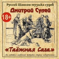 Дмитрий Сулей - Таёжная сага