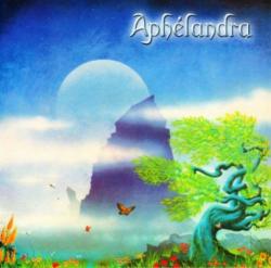 Aphelandra - Aphеlandra