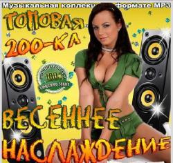 VA - Топовая 200-ка. Весеннее наслаждение