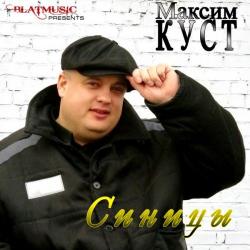 Максим Куст - Синицы