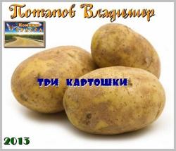 Потапов Владимир - Три картошки