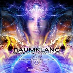 VA - Spin Twist Records: Raumklang