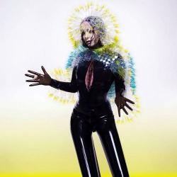 Bjоrk - Vulnicura